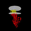 Membrane view of 8wi4