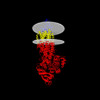 Membrane view of 8wi5