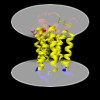 Membrane view of 8wlm