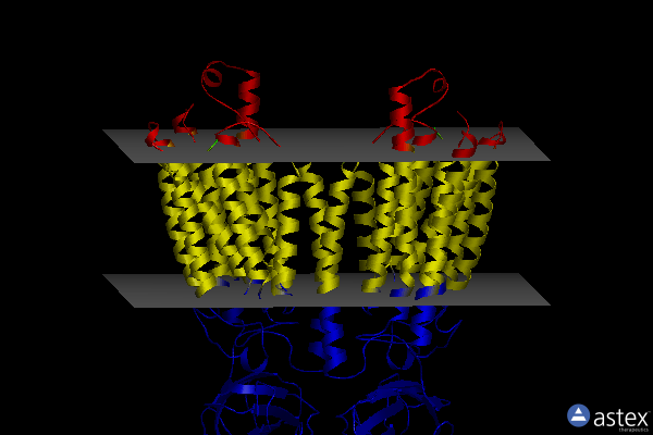 Membrane view of 8wot