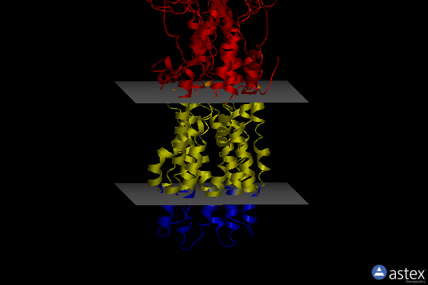 Membrane view of 8wp0