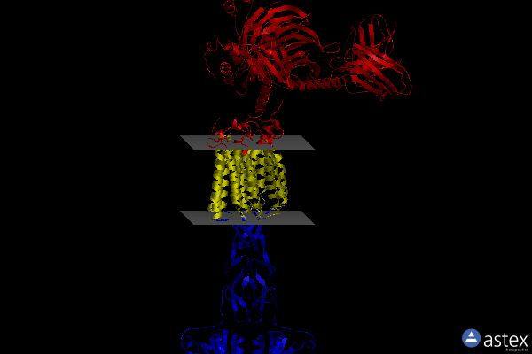 Membrane view of 8wpu