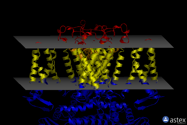 Membrane view of 8wui