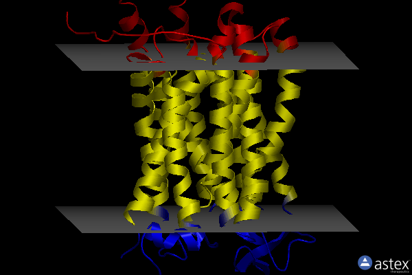 Membrane view of 8wx4