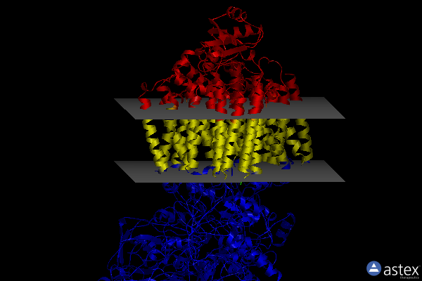 Membrane view of 8x2j