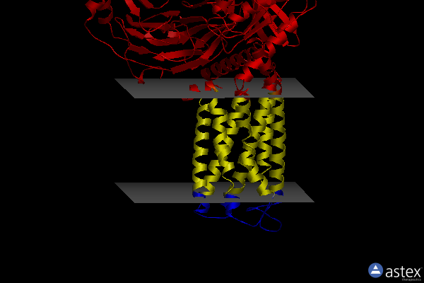 Membrane view of 8x2k