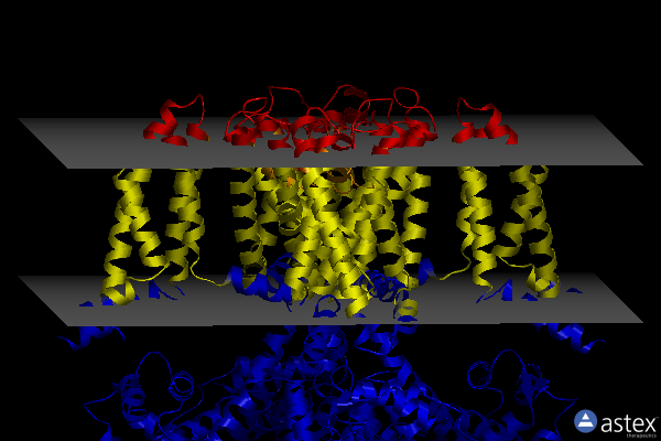 Membrane view of 8x43