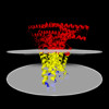 Membrane view of 8x5f