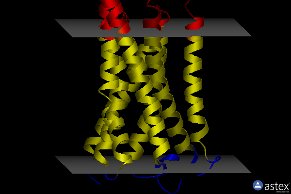 Membrane view of 8x63