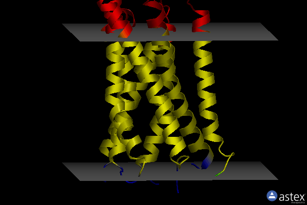 Membrane view of 8x64