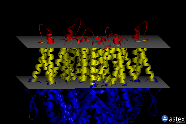 Membrane view of 8x83