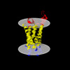 Membrane view of 8xbg