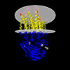 Membrane view of 8xbs