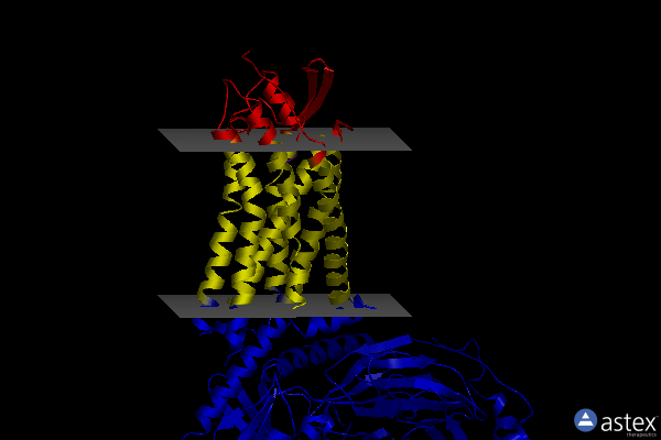 Membrane view of 8xgr