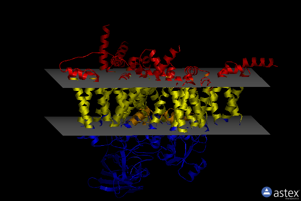 Membrane view of 8xmm