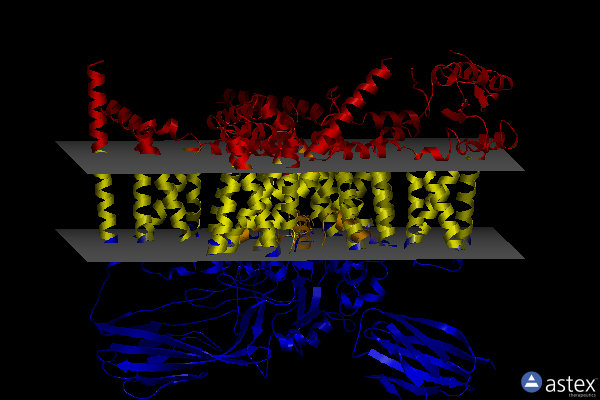 Membrane view of 8xmn