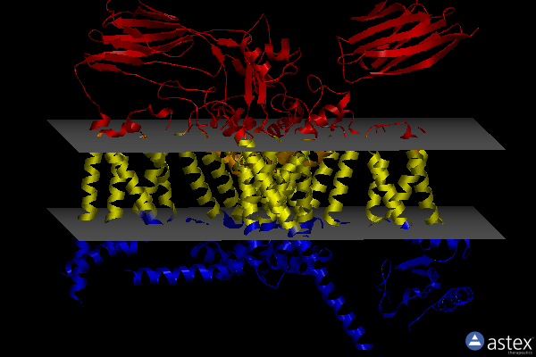 Membrane view of 8xmo