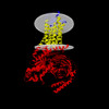 Membrane view of 8xqn