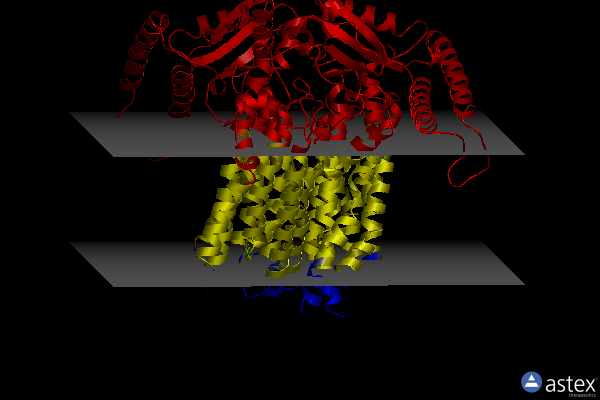 Membrane view of 8xs5