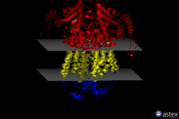 Membrane view of 8xvx
