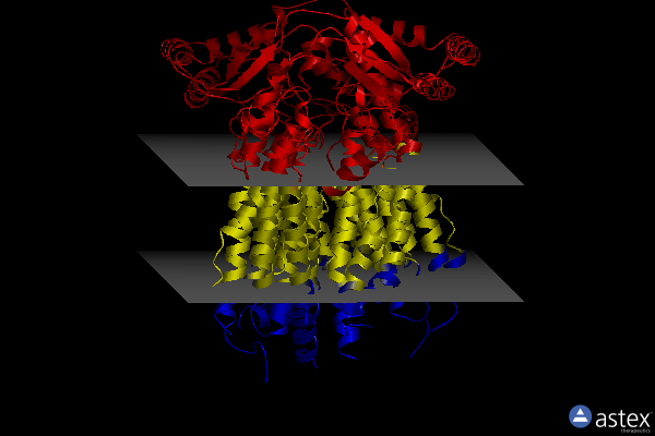 Membrane view of 8xvz