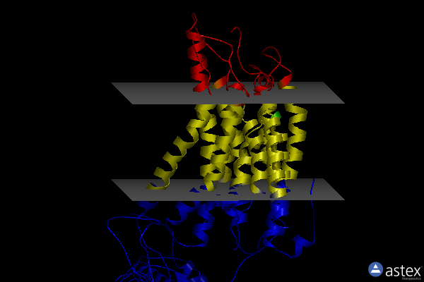 Membrane view of 8xw4