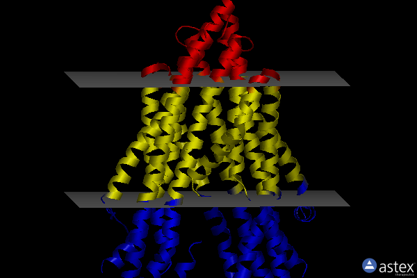 Membrane view of 8y6h