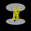 Membrane view of 8y84