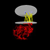 Membrane view of 8ykw