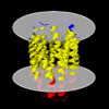 Membrane view of 8zap