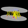 Membrane view of 8zyo