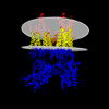 Membrane view of 9b5z