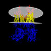 Membrane view of 9b61