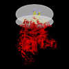 Membrane view of 9b8w