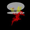 Membrane view of 9b8x