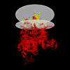 Membrane view of 9b90