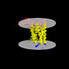 Membrane view of 9bit
