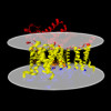 Membrane view of 9chr