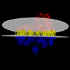 Membrane view of 9dm1